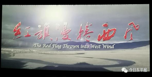 逗小猴开心系列202